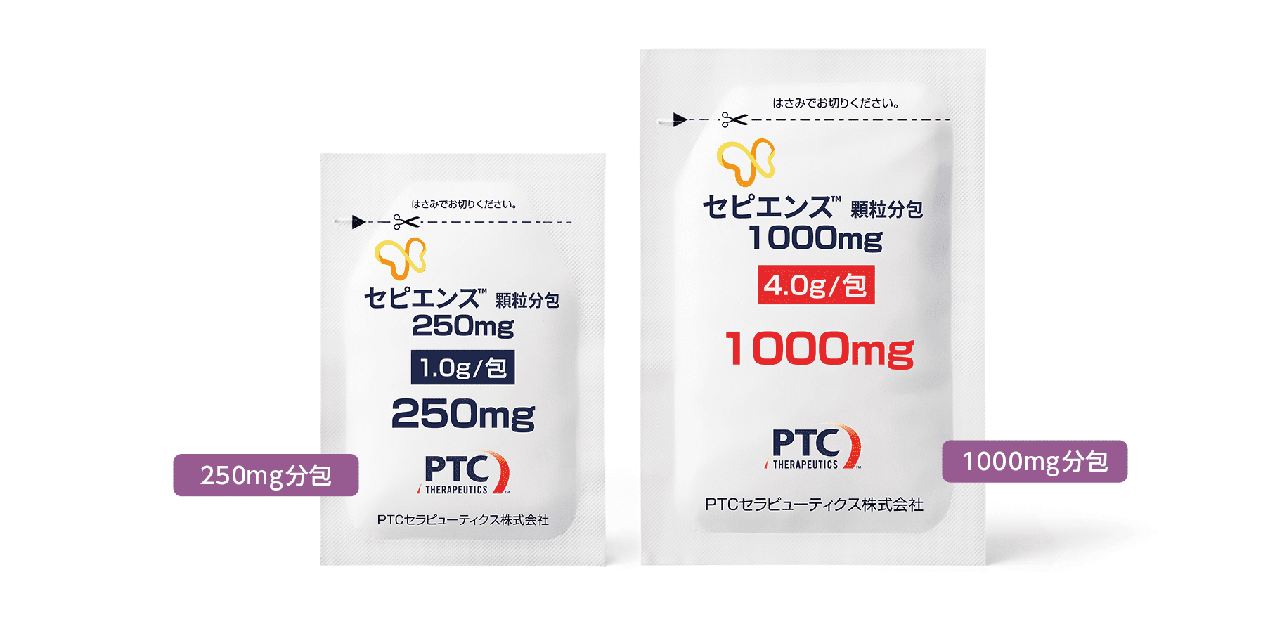 写真_セピエンス250mg,1000mg分包